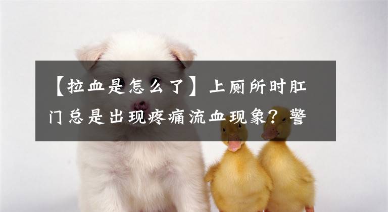 【拉血是怎么了】上厕所时肛门总是出现疼痛流血现象？警惕是肛裂