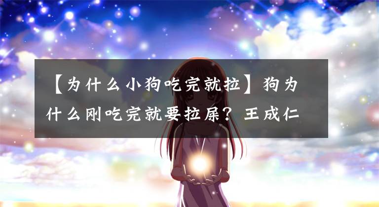【为什么小狗吃完就拉】狗为什么刚吃完就要拉屎？王成仁消化“超高速”秘密公开！