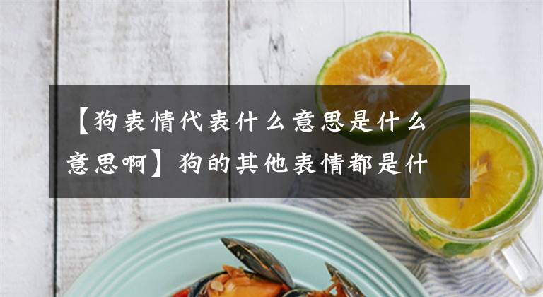 【狗表情代表什么意思是什么意思啊】狗的其他表情都是什么意思？