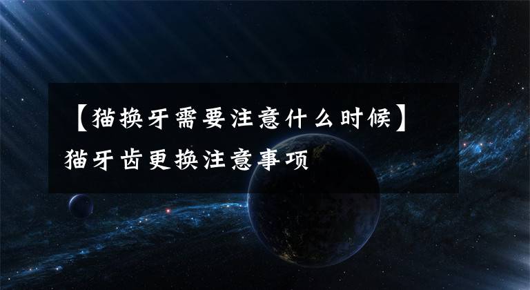 【猫换牙需要注意什么时候】猫牙齿更换注意事项