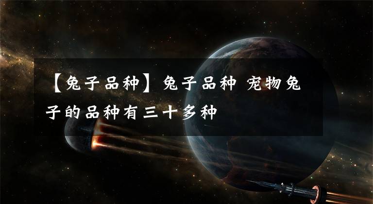 【兔子品种】兔子品种 宠物兔子的品种有三十多种