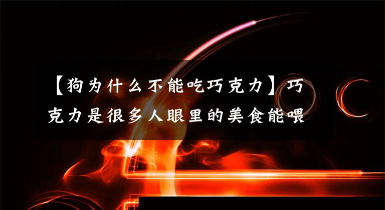 【狗为什么不能吃巧克力】巧克力是很多人眼里的美食能喂给狗狗吃吗？狗能吃巧克力吗