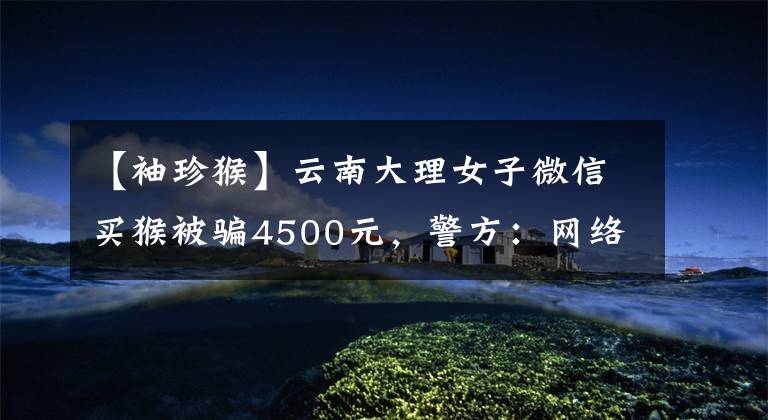 【袖珍猴】云南大理女子微信买猴被骗4500元,警方:网络售猴系骗局