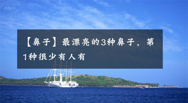 【鼻子】最漂亮的3种鼻子，第1种很少有人有