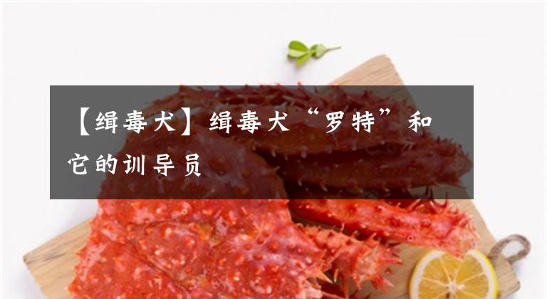 【缉毒犬】缉毒犬“罗特”和它的训导员