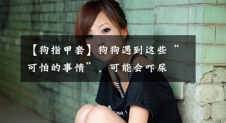 【狗指甲套】狗狗遇到这些“可怕的事情”，可能会吓尿