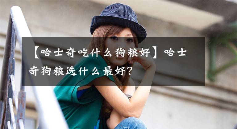 【哈士奇吃什么狗粮好】哈士奇狗粮选什么最好?