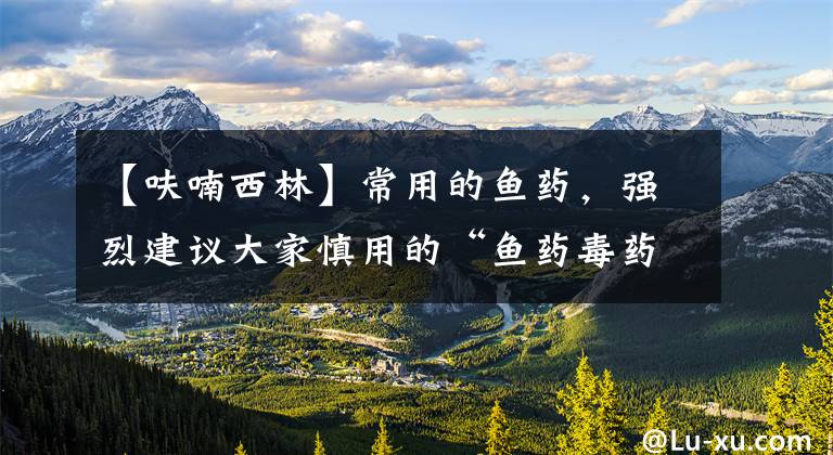 【呋喃西林】常用的鱼药，强烈建议大家慎用的“鱼药毒药”