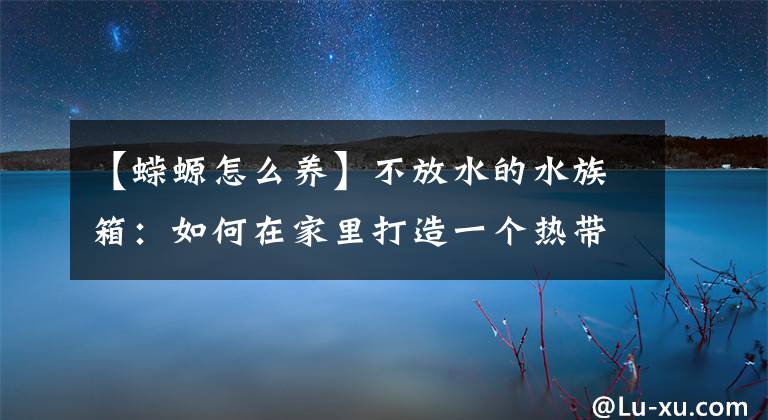 【蝾螈怎么养】不放水的水族箱：如何在家里打造一个热带雨林？