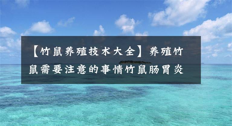 【竹鼠养殖技术大全】养殖竹鼠需要注意的事情竹鼠肠胃炎及常见疾病的防治