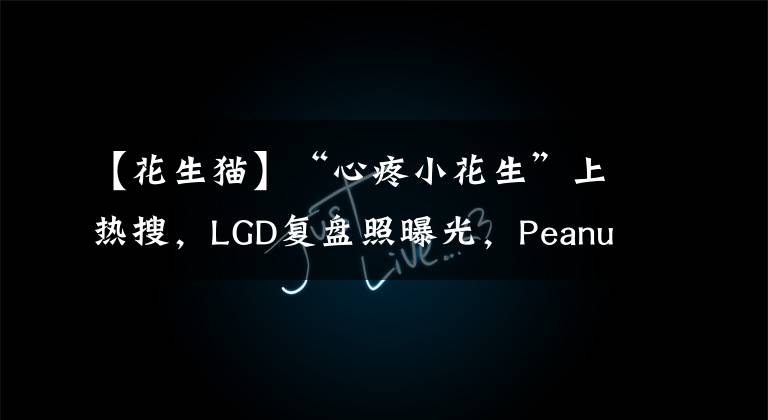 【花生猫】“心疼小花生”上热搜，LGD复盘照曝光，Peanut一脸严肃表情凝重