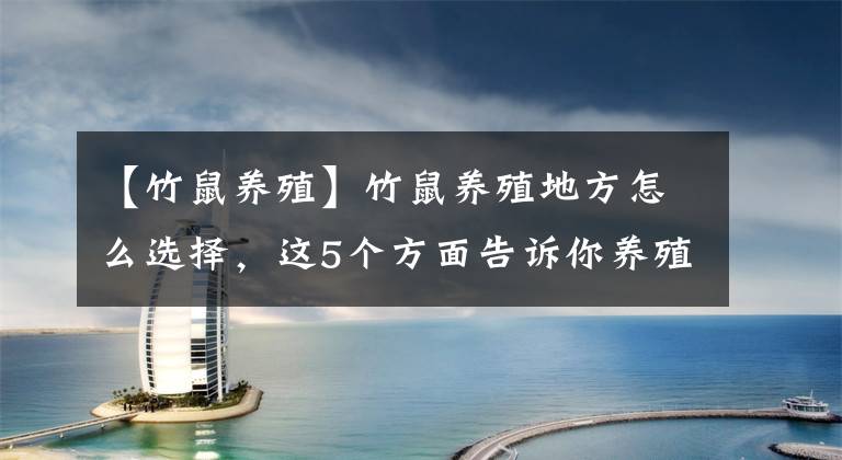 【竹鼠养殖】竹鼠养殖地方怎么选择,这5个方面告诉你养殖环境的要求和条件