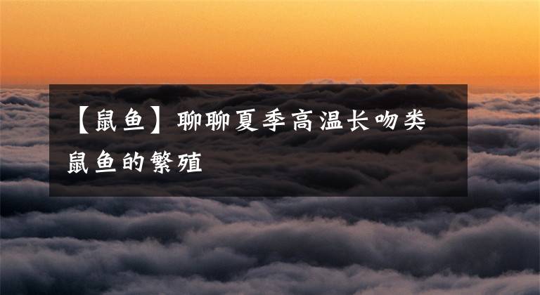 【鼠鱼】聊聊夏季高温长吻类鼠鱼的繁殖