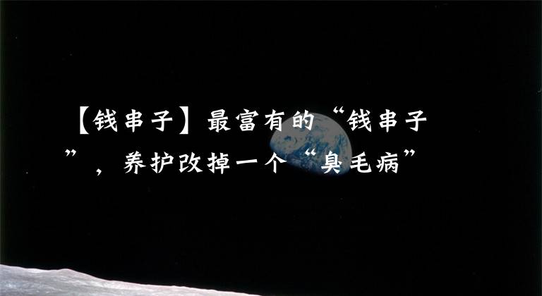 【钱串子】最富有的“钱串子”，养护改掉一个“臭毛病”，一个铜钱也不掉
