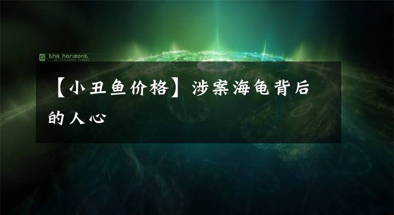 【小丑鱼价格】涉案海龟背后的人心