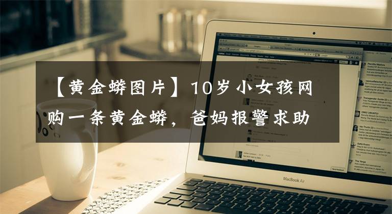 【黄金蟒图片】10岁小女孩网购一条黄金蟒,爸妈报警求助