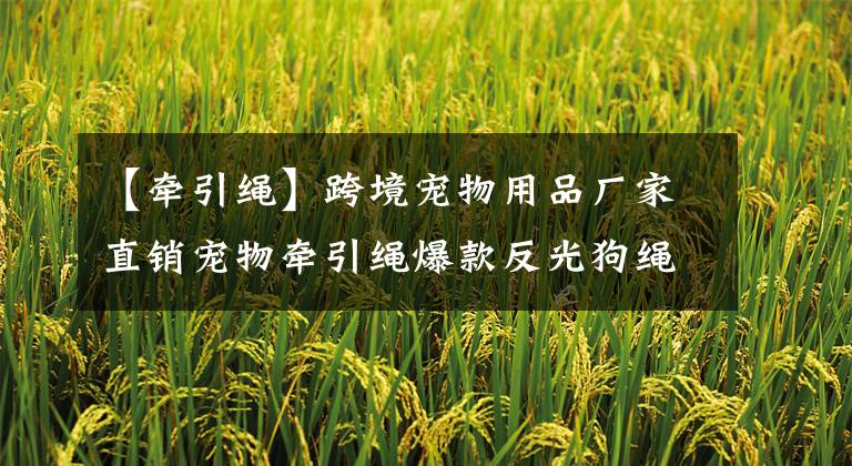 【牵引绳】跨境宠物用品厂家直销宠物牵引绳爆款反光狗绳宠物牵引绳