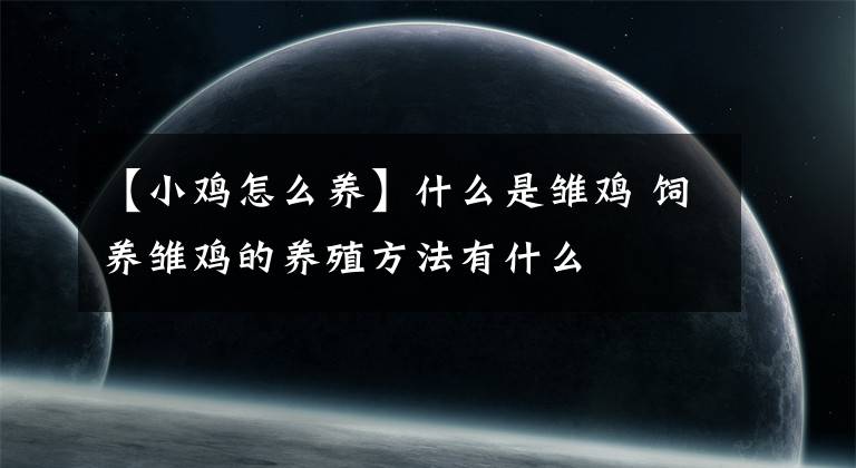 【小鸡怎么养】什么是雏鸡 饲养雏鸡的养殖方法有什么