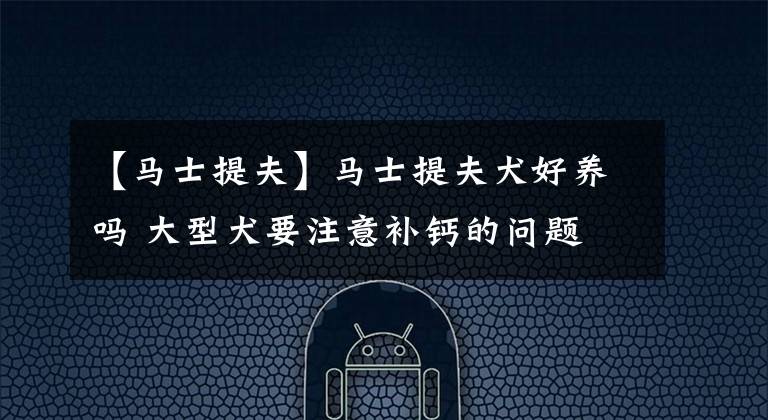 【马士提夫】马士提夫犬好养吗 大型犬要注意补钙的问题