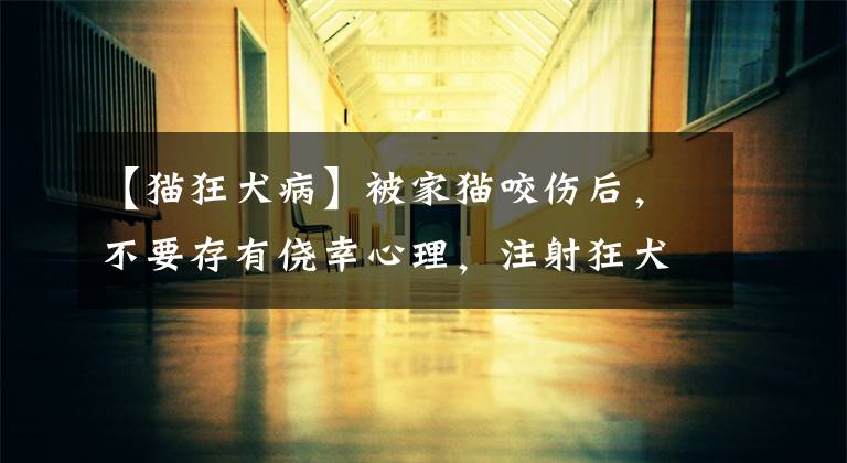 【猫狂犬病】被家猫咬伤后,不要存有侥幸心理,注射狂犬疫苗很关键