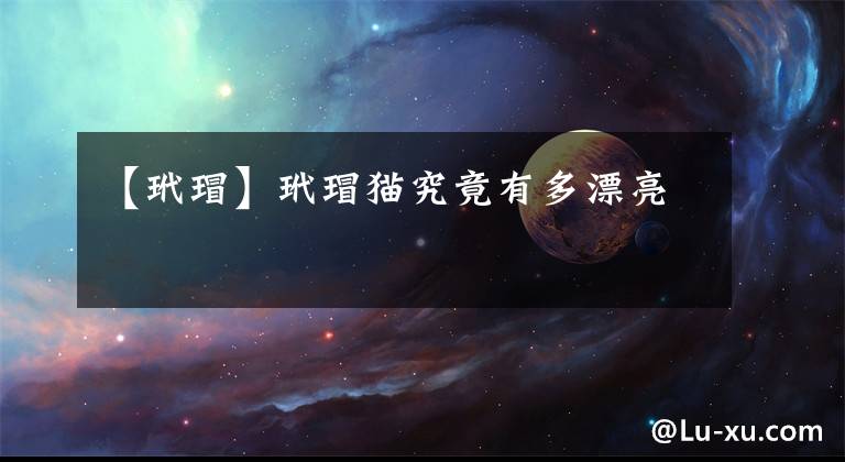 【玳瑁】玳瑁猫究竟有多漂亮