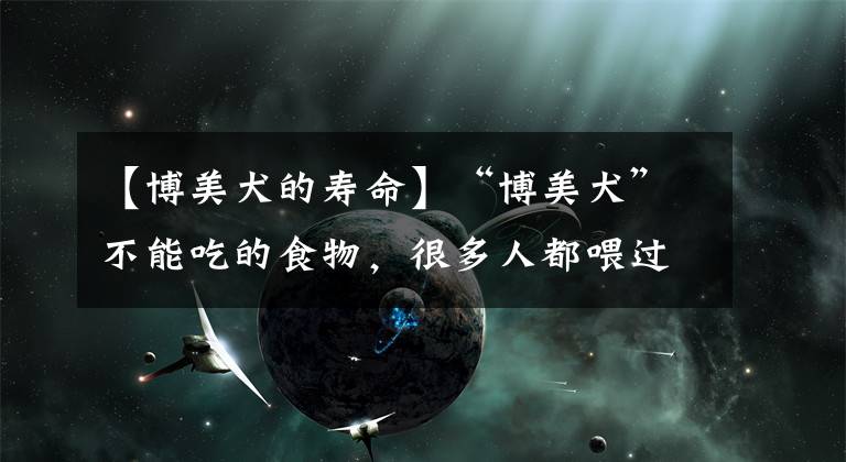 【博美犬的寿命】“博美犬”不能吃的食物，很多人都喂过，赶紧停手