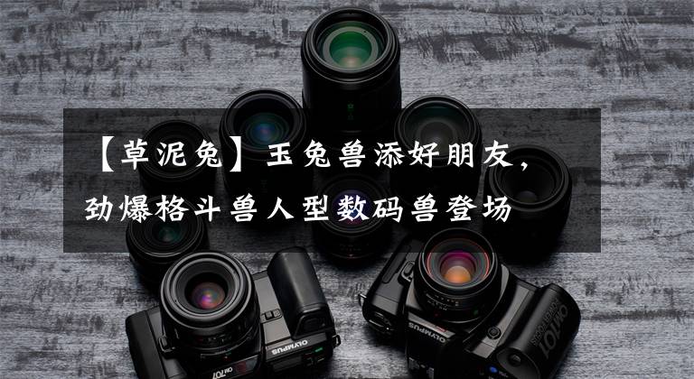 【草泥兔】玉兔兽添好朋友,劲爆格斗兽人型数码兽登场