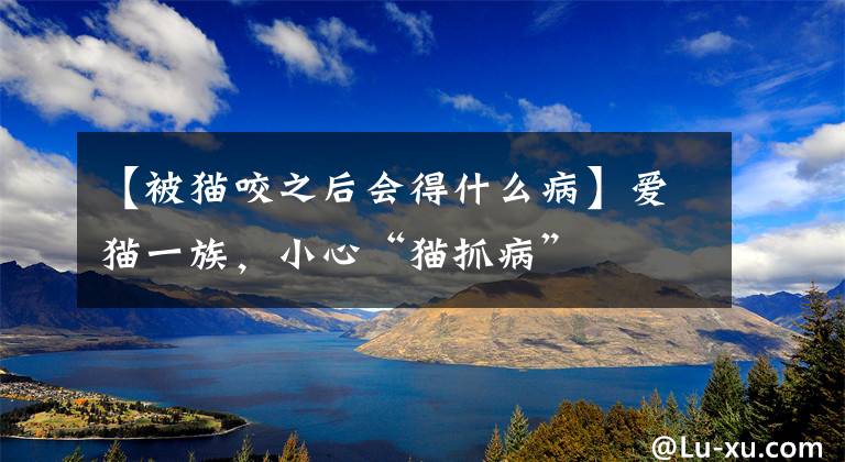 【被猫咬之后会得什么病】爱猫一族，小心“猫抓病”