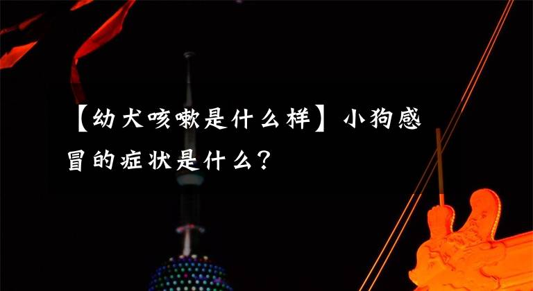 【幼犬咳嗽是什么样】小狗感冒的症状是什么?