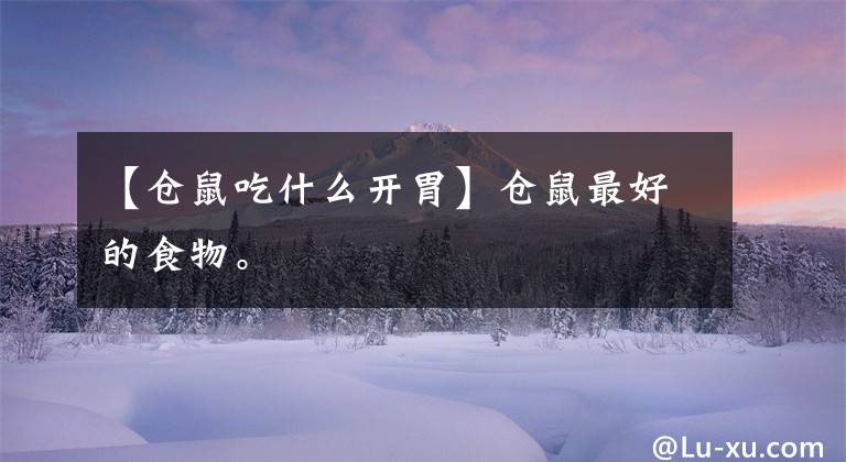 【仓鼠吃什么开胃】仓鼠最好的食物。