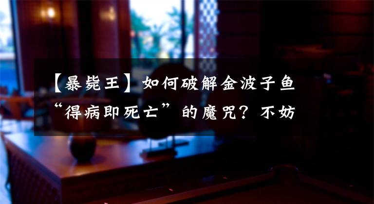 【暴毙王】如何破解金波子鱼“得病即死亡”的魔咒？不妨试试懒人快乐养鱼法
