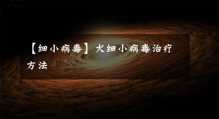 【细小病毒】犬细小病毒治疗方法