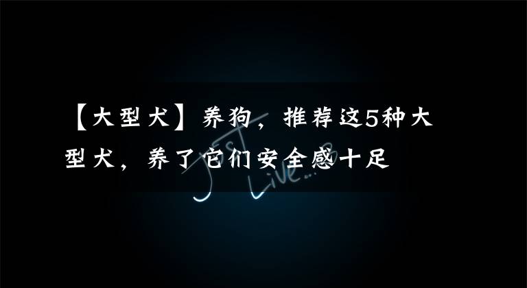 【大型犬】养狗,推荐这5种大型犬,养了它们安全感十足