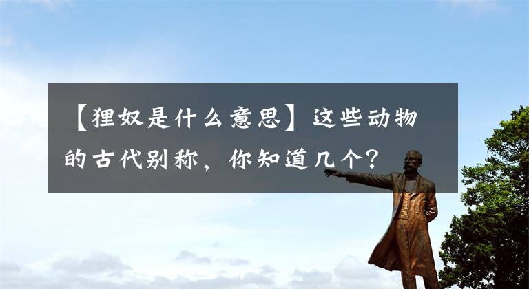 【狸奴是什么意思】这些动物的古代别称，你知道几个？