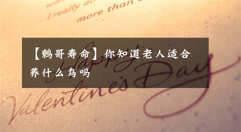 【鹩哥寿命】你知道老人适合养什么鸟吗