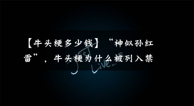 【牛头梗多少钱】“神似孙红雷”，牛头梗为什么被列入禁养宠物名单？