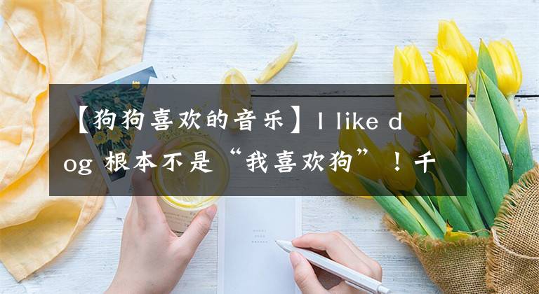 【狗狗喜欢的音乐】I like dog 根本不是“我喜欢狗”！千万别搞错了