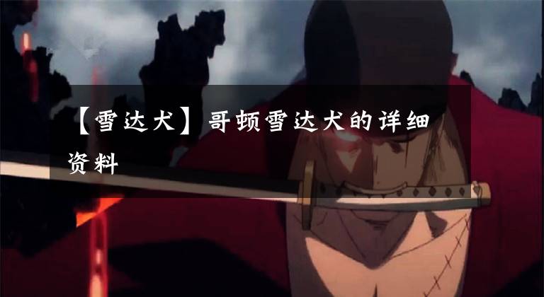 【雪达犬】哥顿雪达犬的详细资料