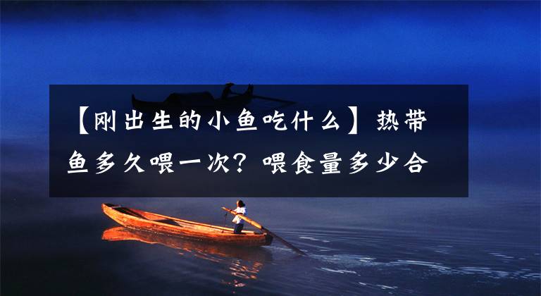 【刚出生的小鱼吃什么】热带鱼多久喂一次？喂食量多少合适？热带鱼可以多长时间不喂食？