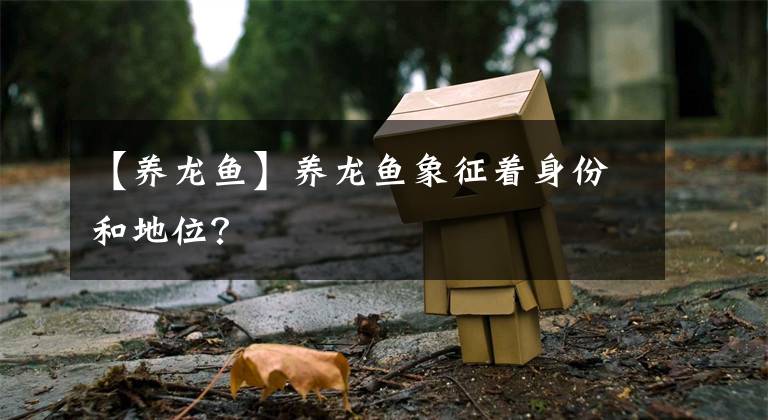 【养龙鱼】养龙鱼象征着身份和地位？
