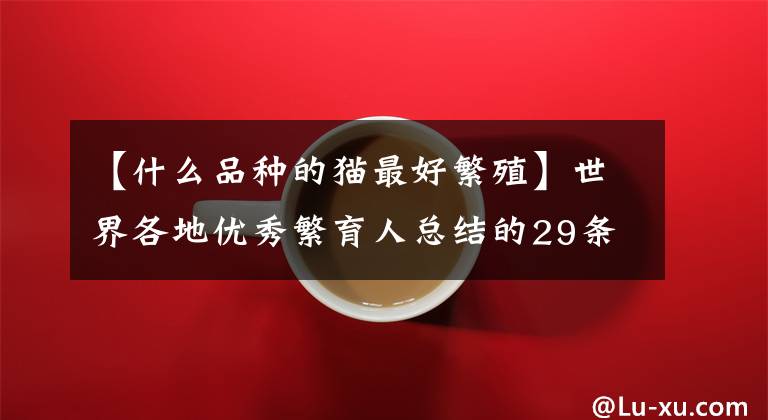 【什么品种的猫最好繁殖】世界各地优秀繁育人总结的29条，如何才能有繁殖好猫的宝贵经验？