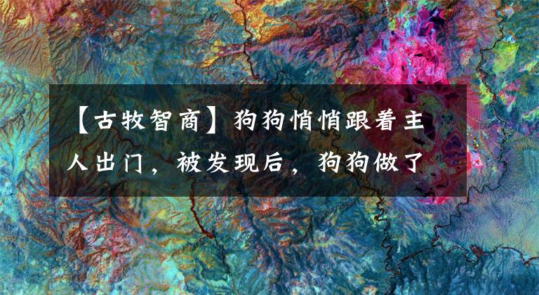 【古牧智商】狗狗悄悄跟着主人出门，被发现后，狗狗做了这个动作把主人乐坏了