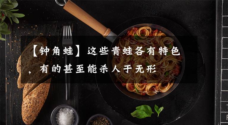 【钟角蛙】这些青蛙各有特色,有的甚至能杀人于无形