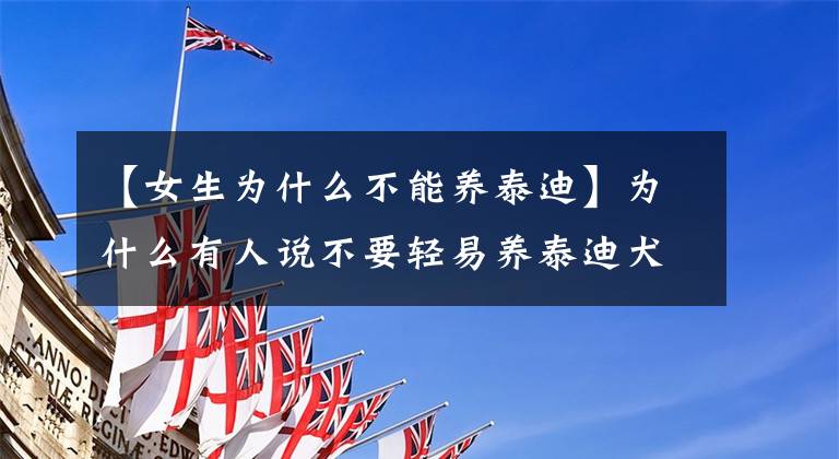 【女生为什么不能养泰迪】为什么有人说不要轻易养泰迪犬，养它有什么“危害”呢？