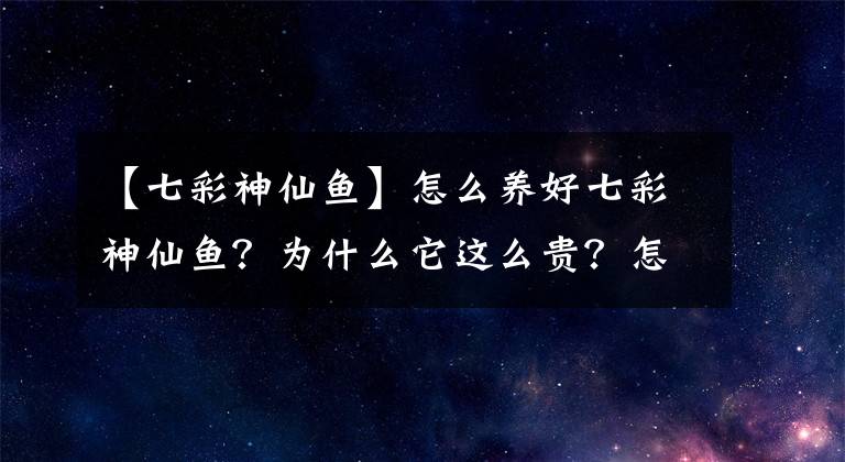 【七彩神仙鱼】怎么养好七彩神仙鱼?为什么它这么贵?怎么挑选七彩神仙鱼