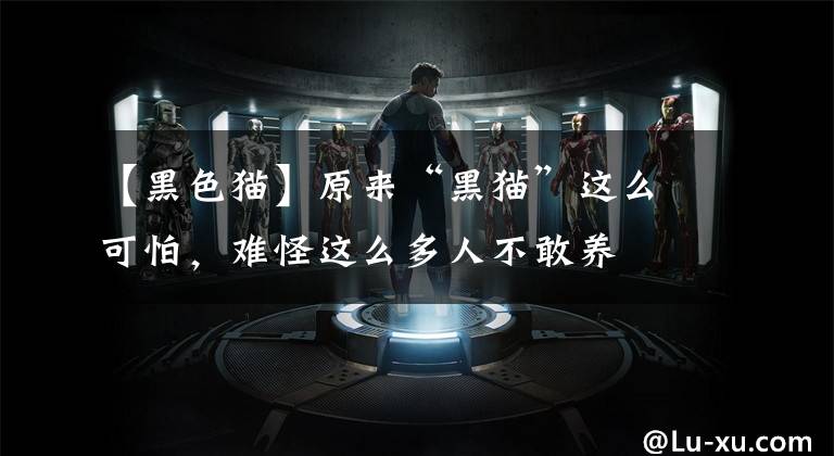 【黑色猫】原来“黑猫”这么可怕，难怪这么多人不敢养