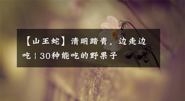 【山王蛇】清明踏青,边走边吃 | 30种能吃的野果子