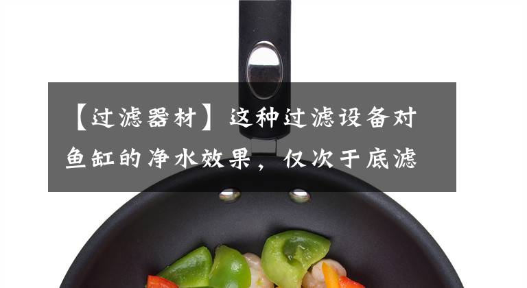 【过滤器材】这种过滤设备对鱼缸的净水效果，仅次于底滤和滴流盒，却少有人知