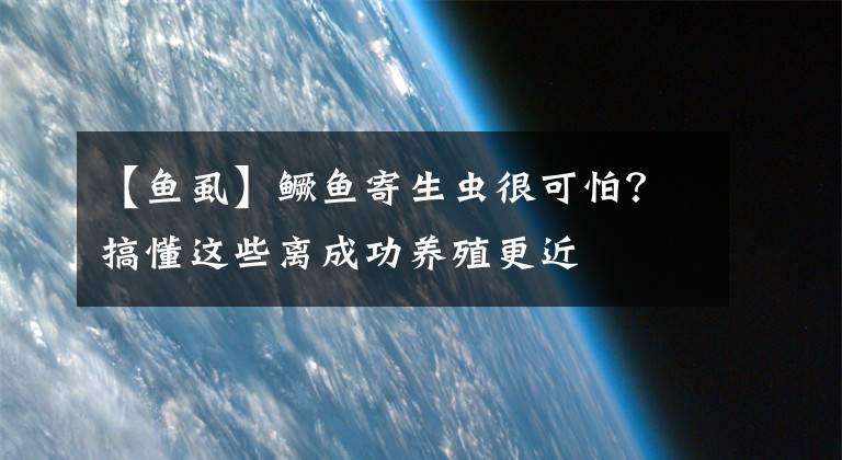 【鱼虱】鳜鱼寄生虫很可怕?搞懂这些离成功养殖更近