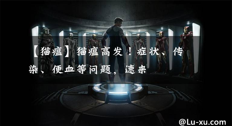 【猫瘟】猫瘟高发！症状、传染、便血等问题，速来